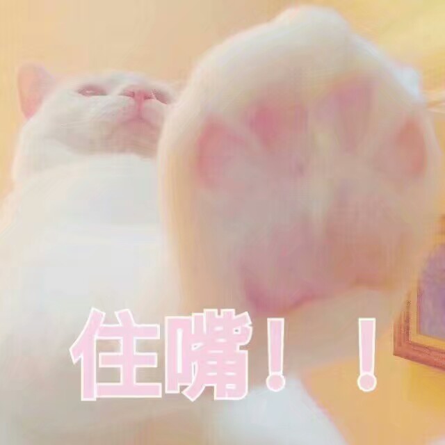 猫表情包可爱