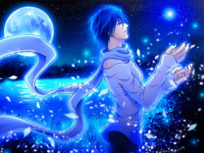 Kaito Shion
Vocaloid