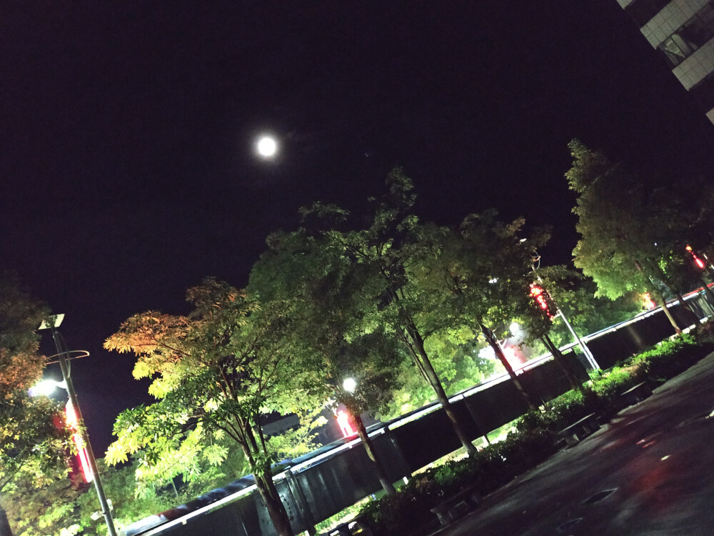 墨迹