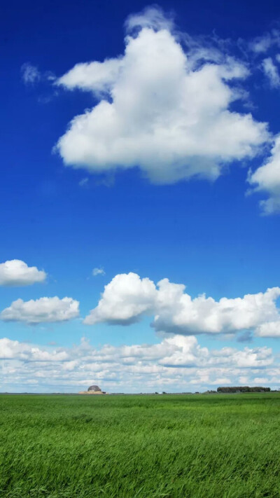 扎龙自然保护区~丹顶鹤的故乡