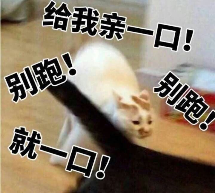 给我亲一口！
别跑！
就一口！