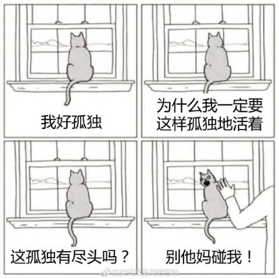 柳诗涵笑嘻嘻