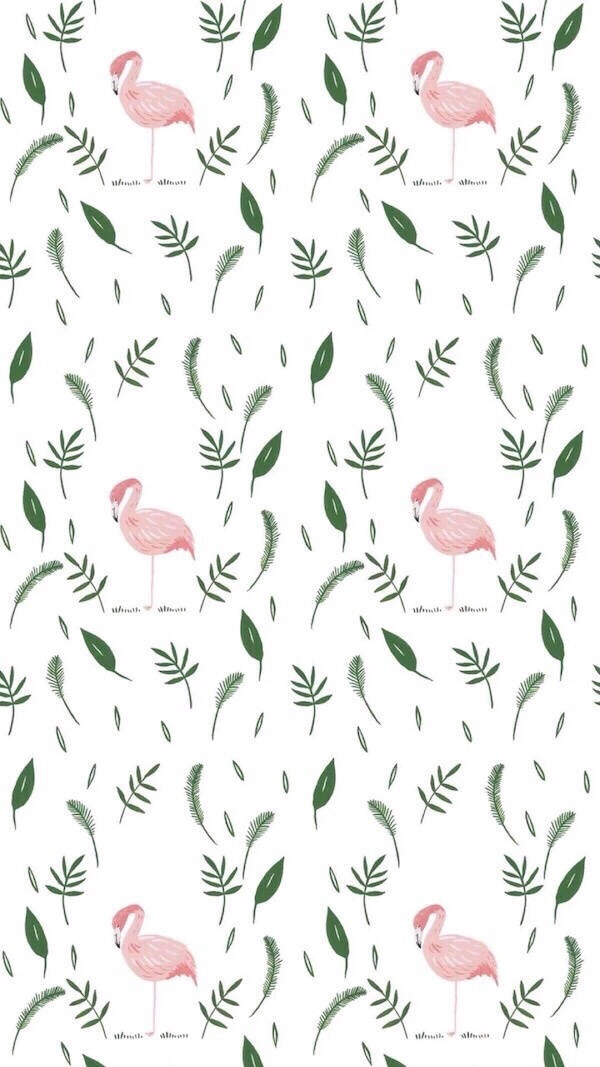 可爱的手机壁纸
