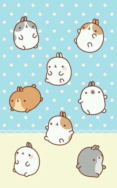 可爱的手机壁纸
