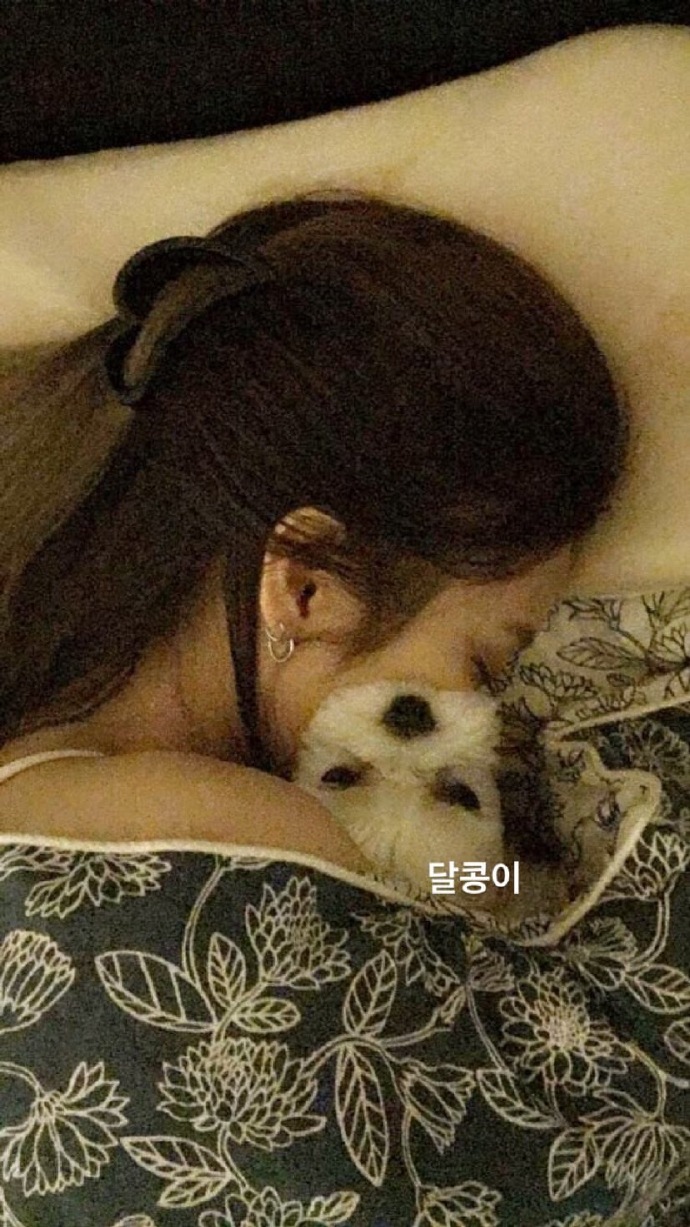 180812 jennierubyjane更新story
月熊