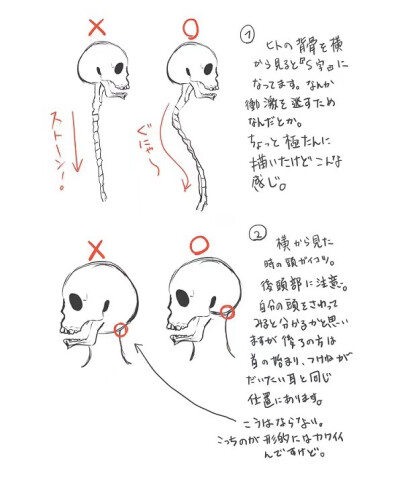 动漫绘画教程