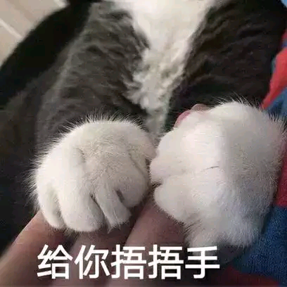 ?猫