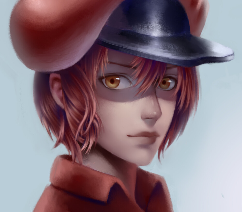 工作细胞-红细胞