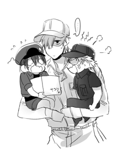 工作细胞-白细胞 红细胞 b细胞