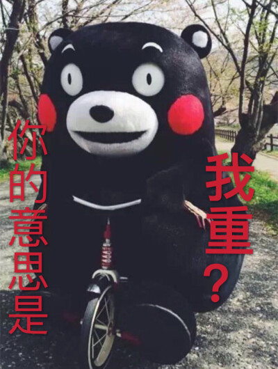 表情包.熊本熊..你的意思是我重？！！！