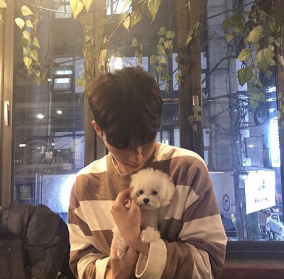 男生头像/林楚。