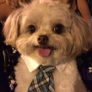 搞怪头像
Weibo：头像巨丑