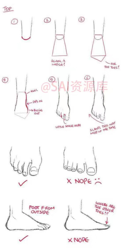 脸部绘制参考