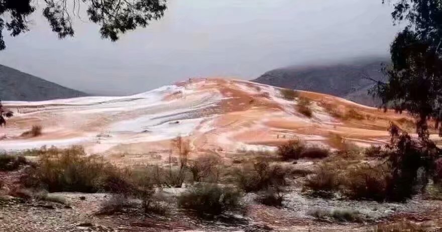 撒哈拉沙漠的雪