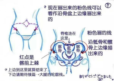 腰部画法