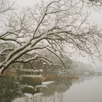 春游芳草地，夏览荷花池。秋踏落叶路，冬吟白雪诗。 ​