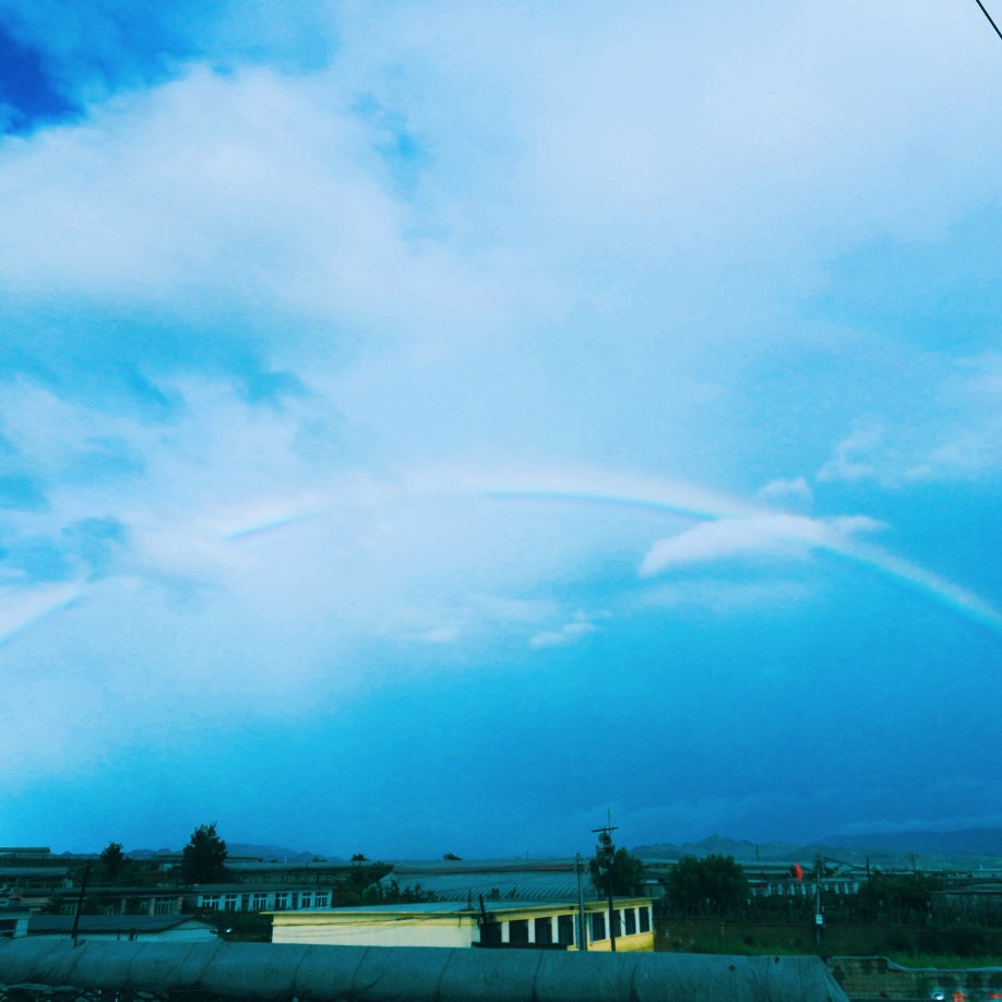 天空 玫瑰 水