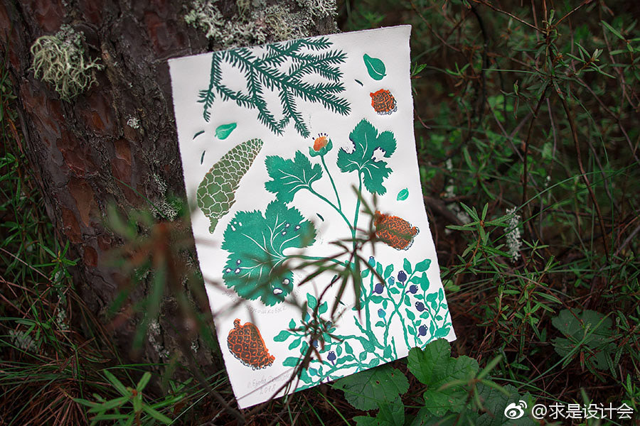 来自艺术家Olga Ezova-Denisova的植物插画欣赏。#求是爱设计# ​