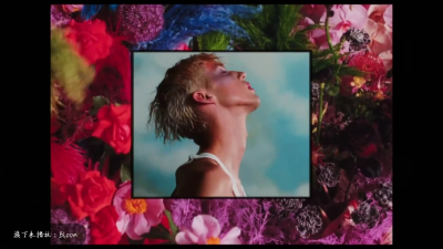 戳爷 troye sivan 特洛耶希文 自截MV《Bloom》 [杨晋戈]