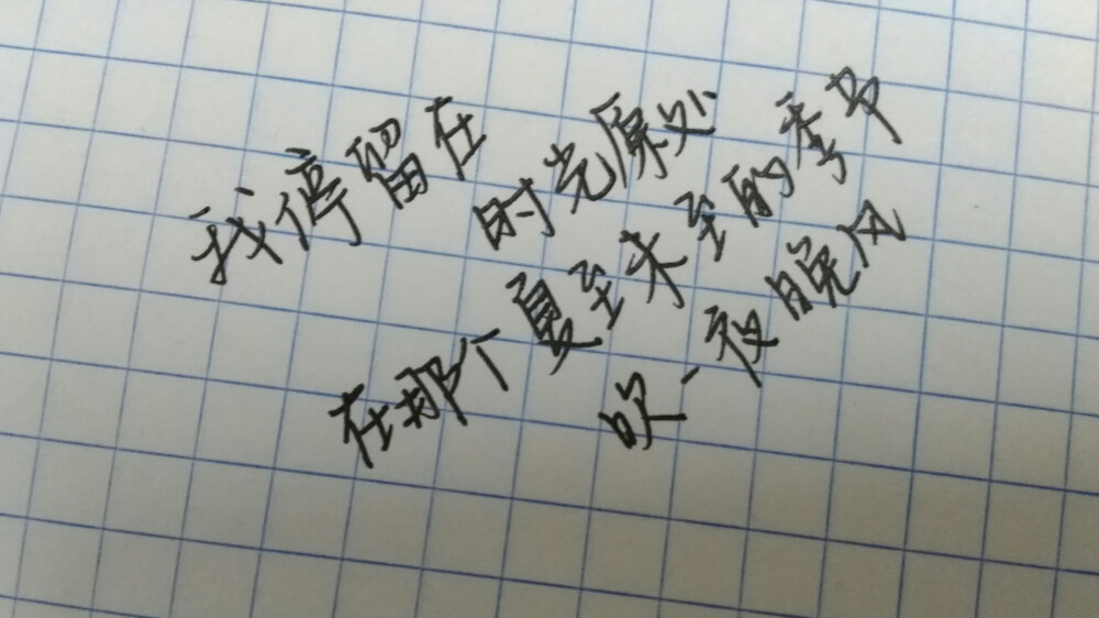 玖月酒。手写
我停留在时光原处
在那个夏至未至的季节
吹一夜晚风