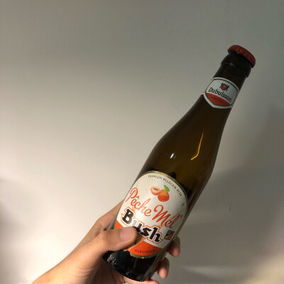 布什桃子啤酒