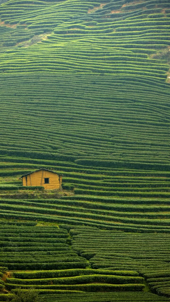 武夷山福建