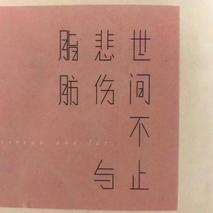 只言片语