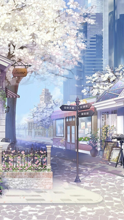 我仅是不愿，见寓意着圆满的合欢，晚景凄凉。