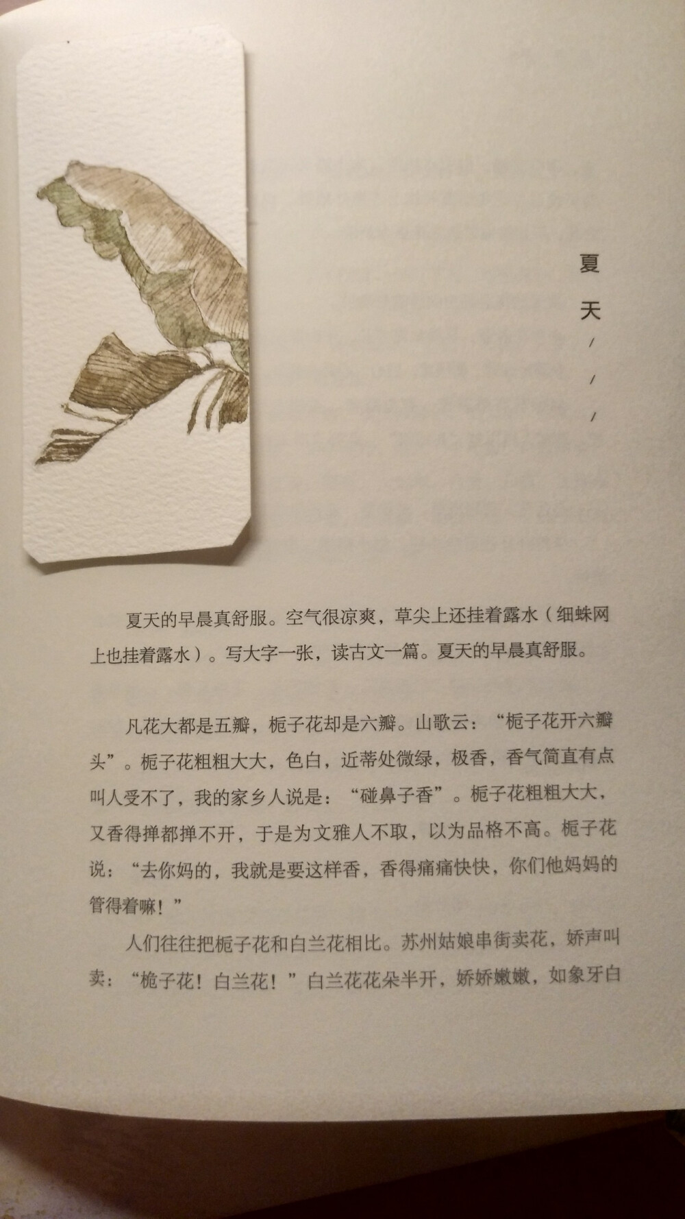 这四张水彩书签挺喜欢的，大多是临摹其他作品的画，一套看下来非常漂亮杉泽的九尾狐画的同事和临摹的海浪