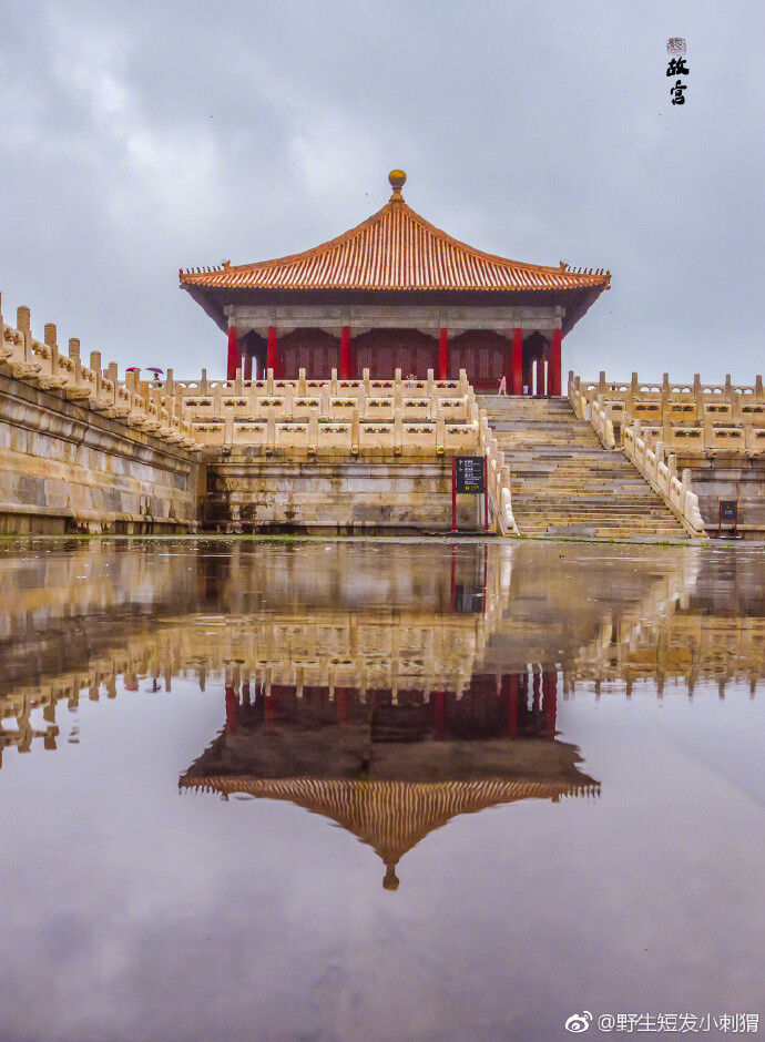 拍的太美了吧！深门疾雨过，箫疏台殿凉。cr.野生短发小刺猬 ​