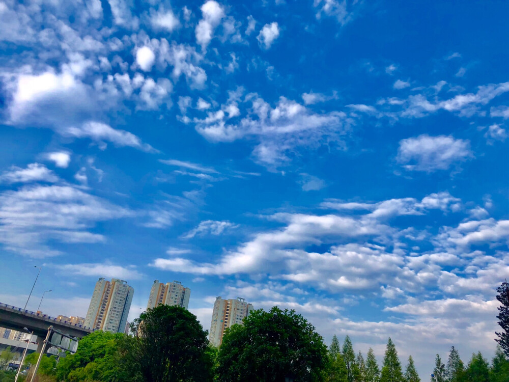 重庆江津
风景