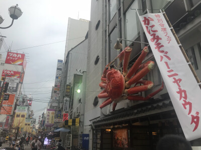 日本 旅行 美食 风景 温暖 小清新风格