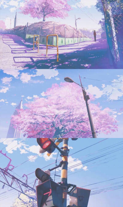 不问归期