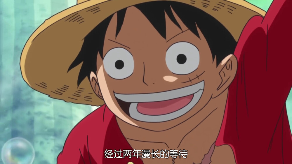 二年后的草帽海贼团 路飞娜美山治乔巴索隆罗宾乌索普弗兰奇布鲁克