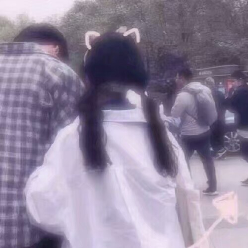 为我的十一个粉丝更新