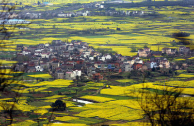 【中国九大慢游地】1、湖南凤凰；2、广西阳朔；3、山西平遥；4、四川成都；5、江苏高淳；6、浙江乌镇；7、西藏拉萨；8、云南大理；9、新疆拜城。让时间过得慢一点，再慢一点。 ​