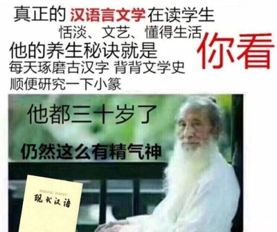 专业表情包