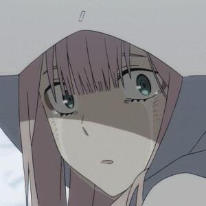 daring in the franxx