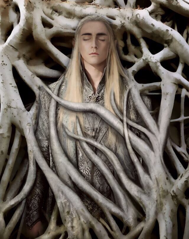 瑟兰迪尔×莱戈拉斯