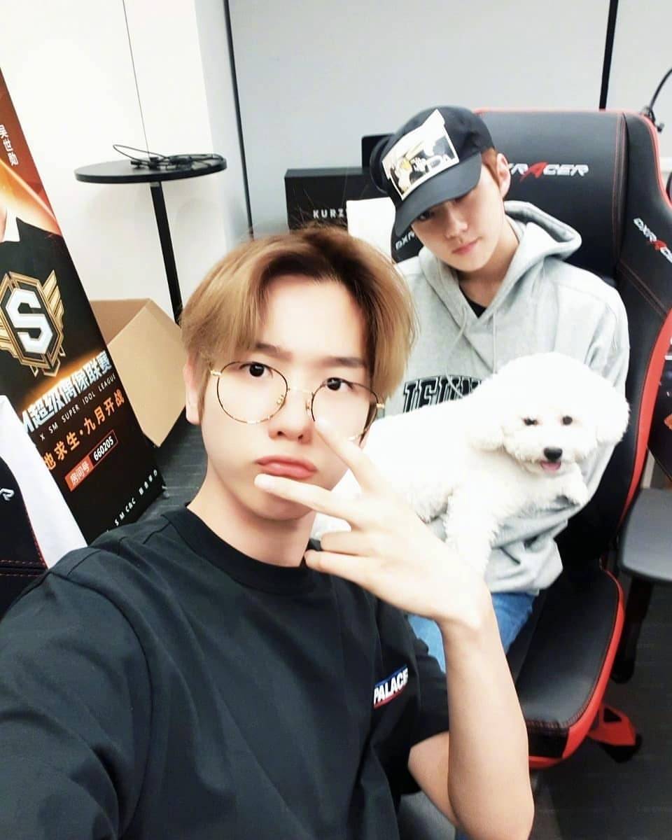 伯贤，世勋，vivi