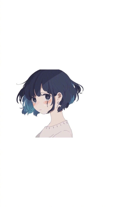 动漫、动画