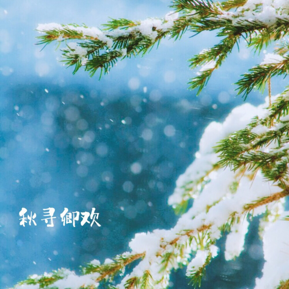 雪落无声