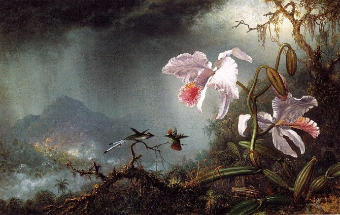 “ 幽谷鸟鸣… ”丨Johnson Heade 绘 ​