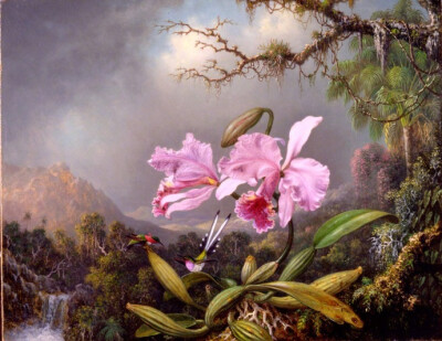 “ 幽谷鸟鸣… ”丨Johnson Heade 绘 ​