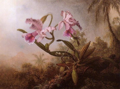 “ 幽谷鸟鸣… ”丨Johnson Heade 绘 ​