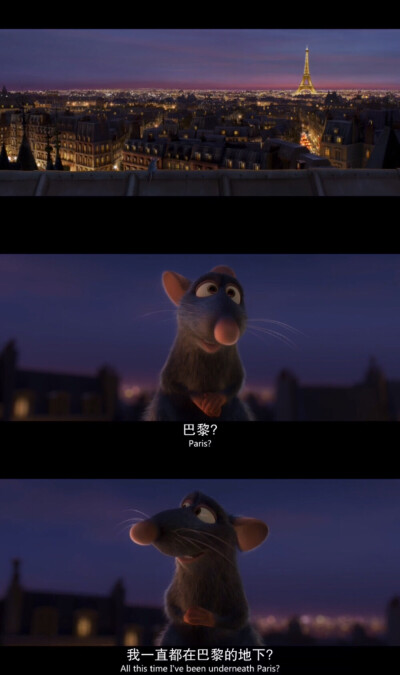 《Ratatouille》（料理鼠王）美.2007.