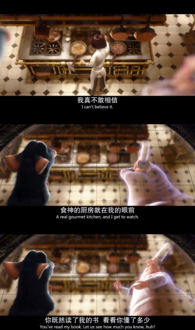 《Ratatouille》（料理鼠王）美.2007.