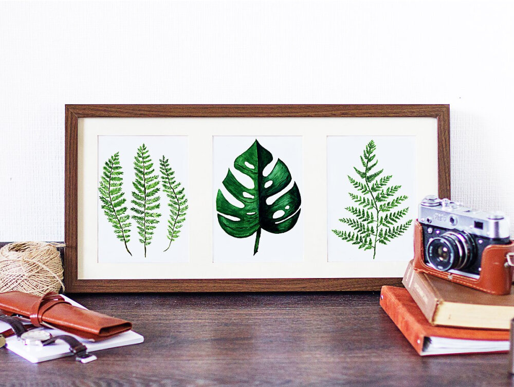 清新绿色手绘水彩植物剪贴画PNG
新绿色收藏 - 水彩手画剪贴美术。 蕨类植物和龟背竹是这套花卉的英雄。 该套装包括格式为PNG和JPEG的36个单独图像。 所有图像300 dpi，RGB颜色。