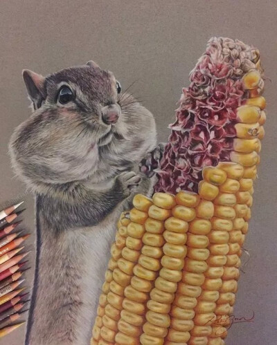 Robin Gan彩铅艺术家
