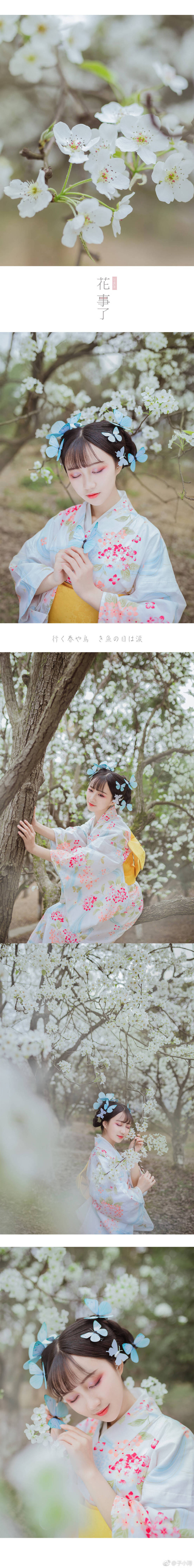 【和风物语】#和服写真##成都约片#
行く春や鳥啼き魚の目は涙
匆匆春将归，鸟啼鱼落泪。
造型/摄影/后期@子小浔
出镜@-绮罗苏- 